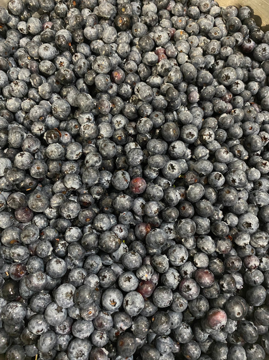 Blueberries